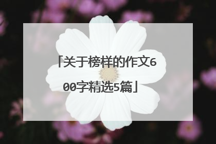 关于榜样的作文600字精选5篇
