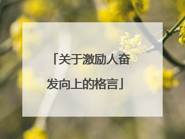 关于激励人奋发向上的格言