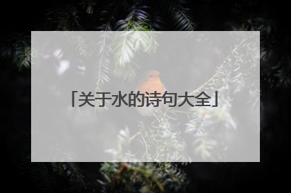 关于水的诗句大全