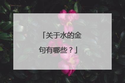 关于水的金句有哪些?