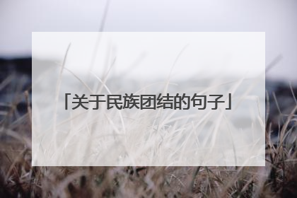关于民族团结的句子