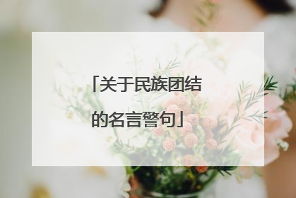 关于民族团结的名言警句