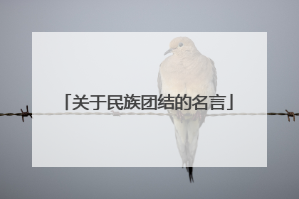 关于民族团结的名言