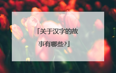 关于汉字的故事有哪些?