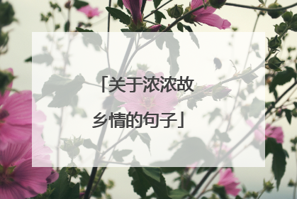 关于浓浓故乡情的句子