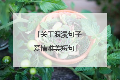 关于浪漫句子爱情唯美短句
