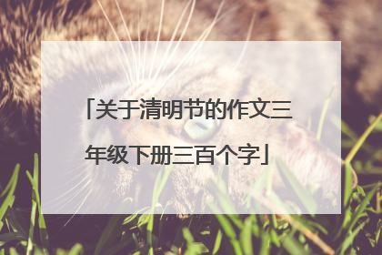 关于清明节的作文三年级下册三百个字