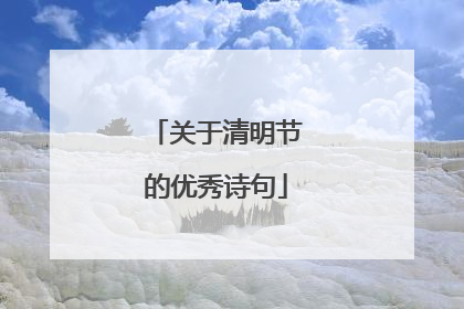 关于清明节的优秀诗句