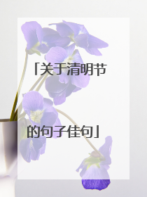 关于清明节的句子佳句