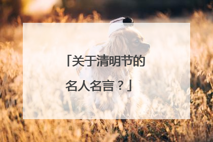 关于清明节的名人名言？