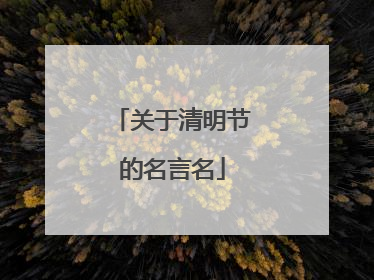 关于清明节的名言名
