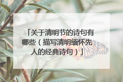 关于清明节的诗句有哪些(描写清明缅怀先人的经典诗句)
