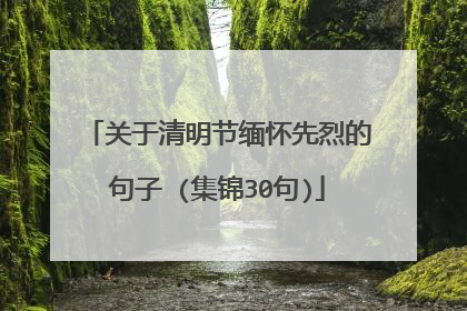 关于清明节缅怀先烈的句子 (集锦30句)