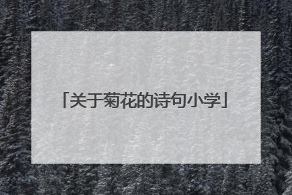 关于菊花的诗句小学