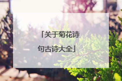 关于菊花诗句古诗大全
