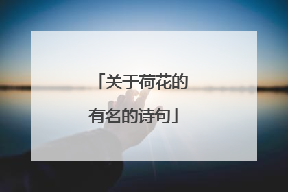 关于荷花的有名的诗句