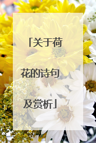 关于荷花的诗句及赏析