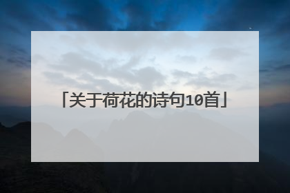 关于荷花的诗句10首
