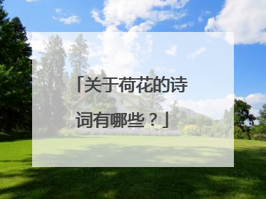 关于荷花的诗词有哪些？