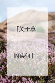 关于草的诗句