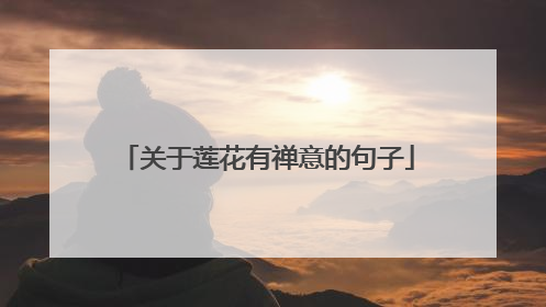关于莲花有禅意的句子