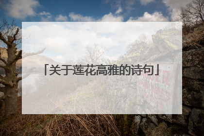 关于莲花高雅的诗句