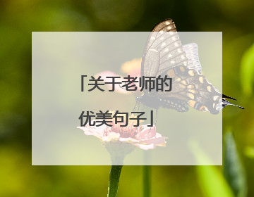 关于老师的优美句子