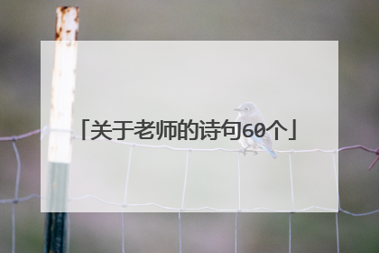 关于老师的诗句60个