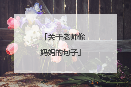 关于老师像妈妈的句子