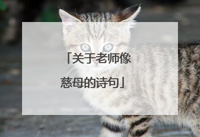 关于老师像慈母的诗句