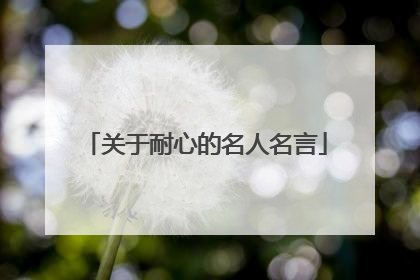 关于耐心的名人名言