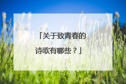 关于致青春的诗歌有哪些？