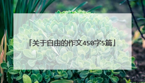 关于自由的作文450字5篇