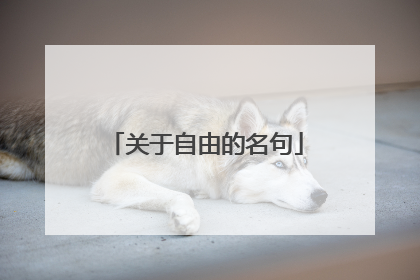 关于自由的名句