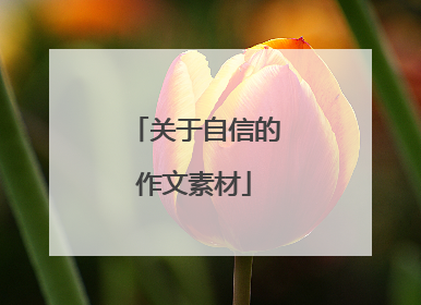 关于自信的作文素材