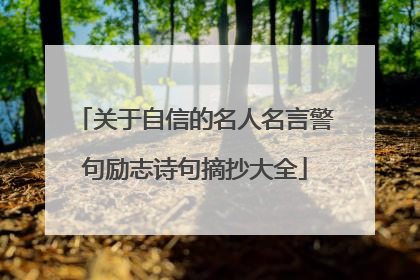 关于自信的名人名言警句励志诗句摘抄大全