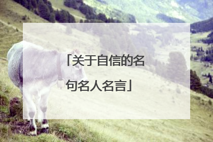 关于自信的名句名人名言