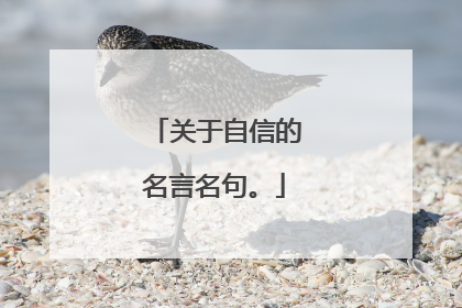 关于自信的名言名句。