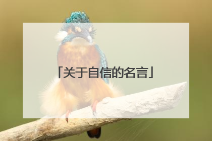 关于自信的名言