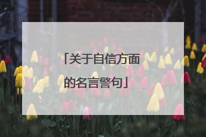 关于自信方面的名言警句