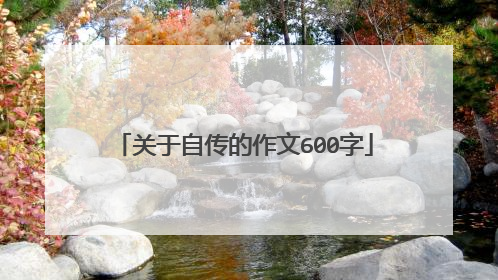 关于自传的作文600字