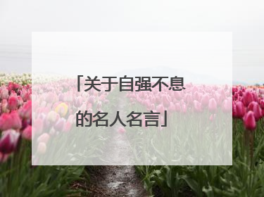 关于自强不息的名人名言