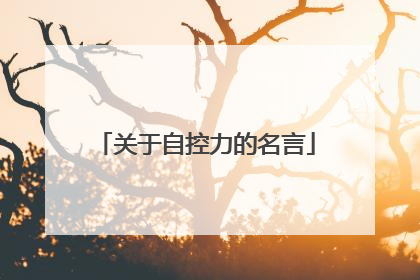 关于自控力的名言