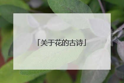 关于花的古诗