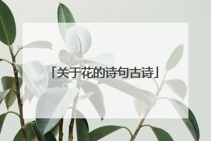 关于花的诗句古诗