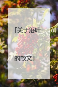 关于落叶的散文