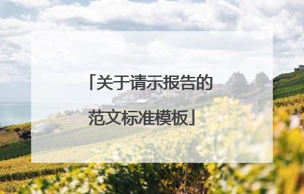 关于请示报告的范文标准模板