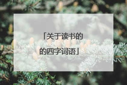 关于读书的的四字词语
