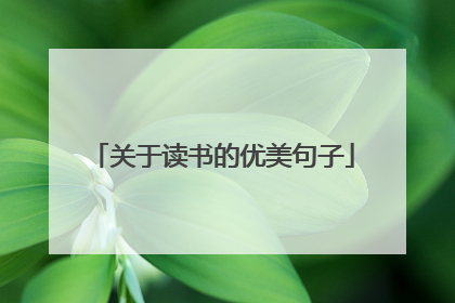 关于读书的优美句子