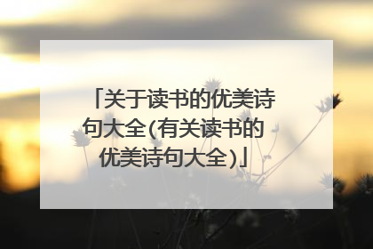关于读书的优美诗句大全(有关读书的优美诗句大全)